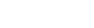 Bloom Spatial logo written in white text