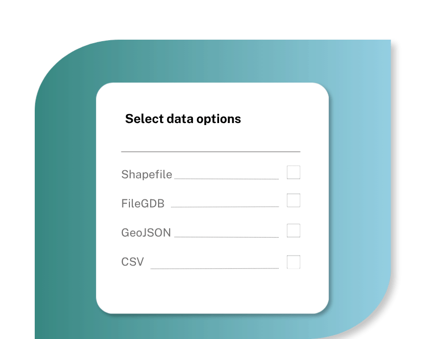 Checkboxes showing data export options on a marbled blue green background
