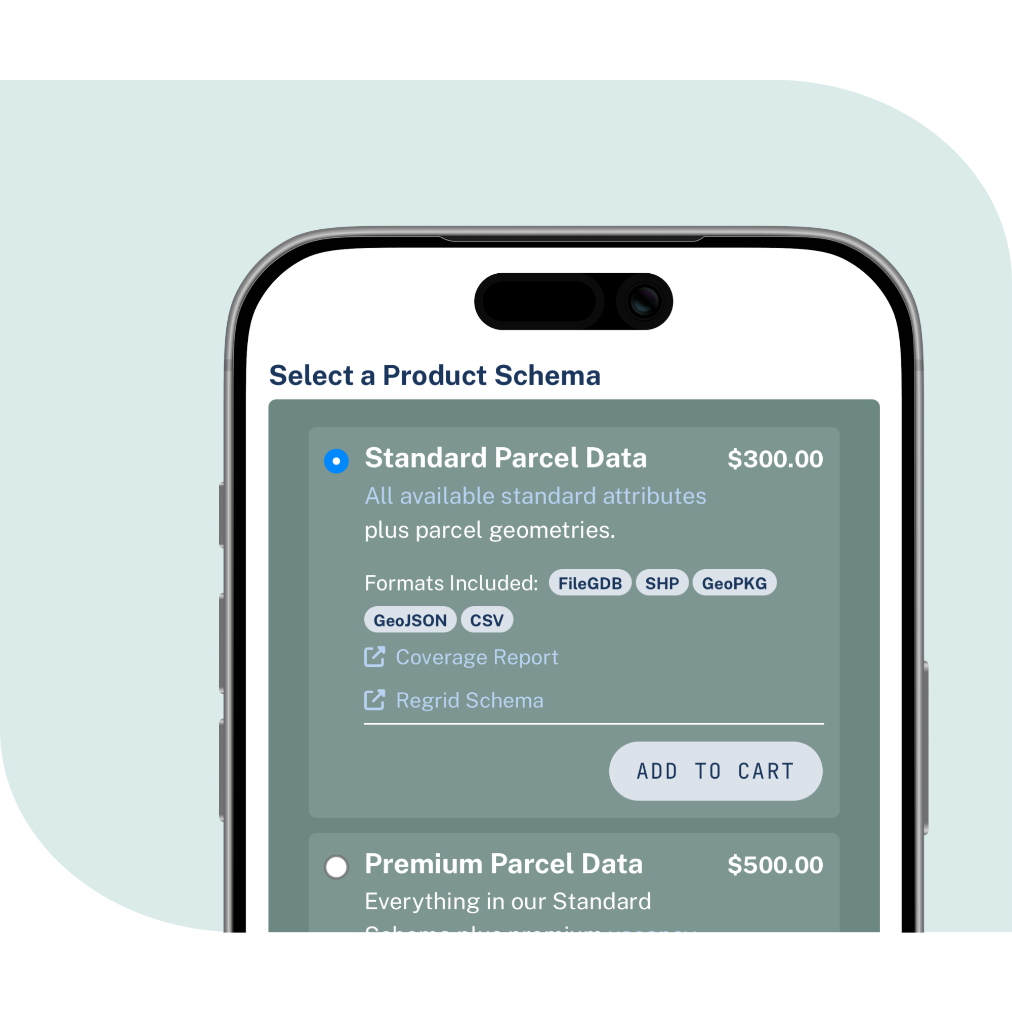 phone screen showing data store purchase on light green background