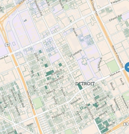 A parcel map of Detroit