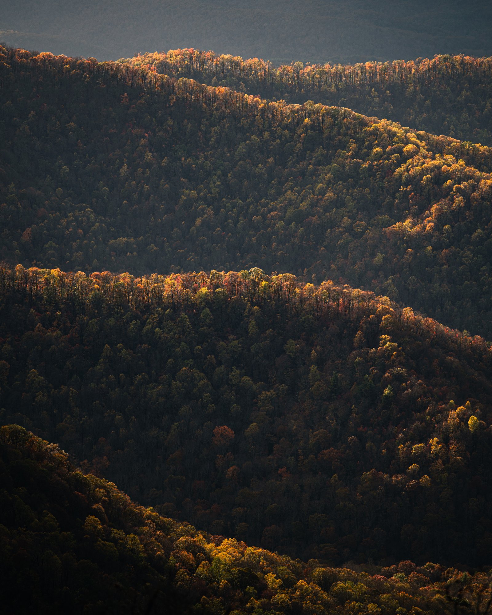 zach-plank-8PP6xJdskyM-unsplash