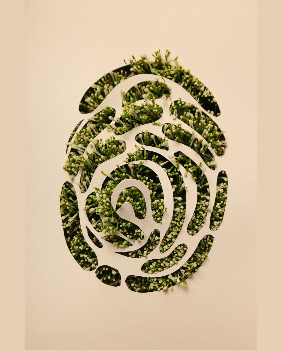 A circular spiral fingerprint made of small green leaf-like dots, with a light background and a stylized pattern of concentric loops.