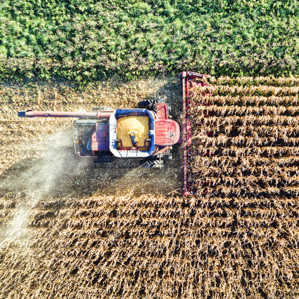 Tractor in a field